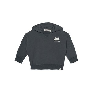 Dear Mini pireneo  hoody grey