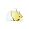 Halftoys  Halftoys – Baby Dino – Stego | Educatief Dino Speelgoed met 3D Skelet