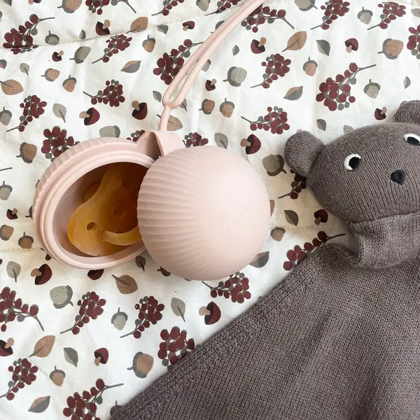 Nuuroo Nuuroo Camille pacifier box chocolade malt