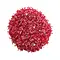 Grennn Grennn speelrijst aardbeien mix 300 gram