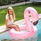 Swimessentials   Swim Essentials Zwemband Flamingo  Zwemring Roze 95 cm