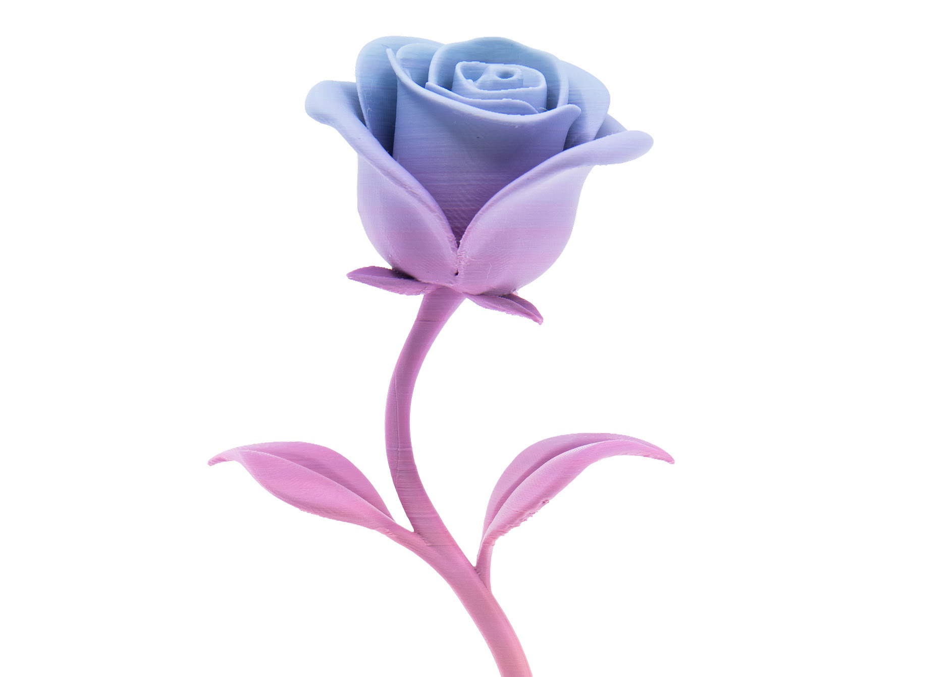 3D printed rose with Polymaker Panchroma PLA Gradient Satin Rainbow filament.