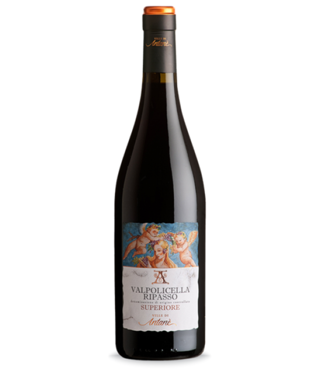 Antanè Valpolicella Ripasso Superiore