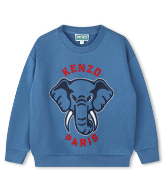 KENZO KIDS Kenzo Kids Sweater - k60769