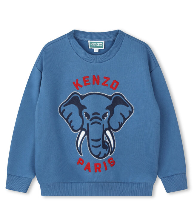 Kenzo Kids Sweater - k60769
