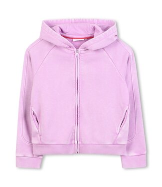 Hugo Hugo Vest met Capuchon - G00516