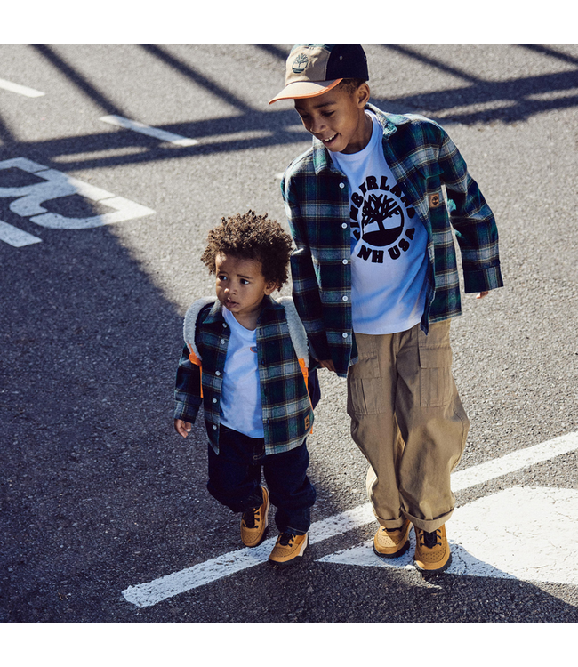 Timberland Geruit Overhemd - T60577