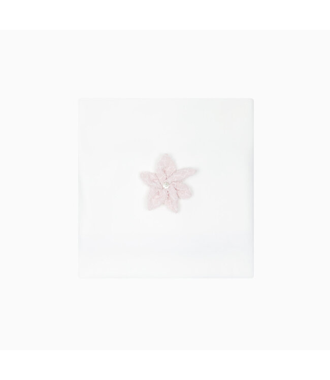 Deolinda Deken - CDI25020