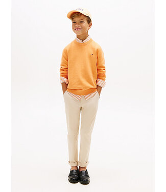 Tommy hilfiger TOMMY HILFIGER Chino pants