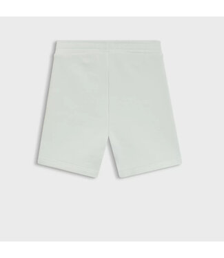 Boss BOSS sprout green short