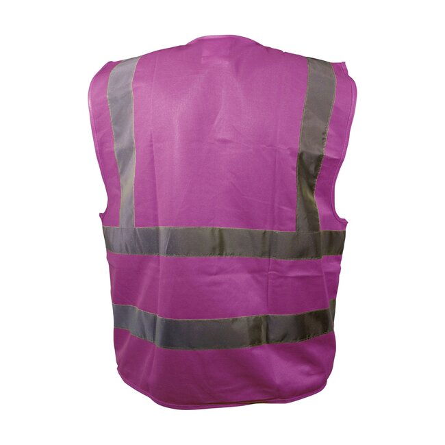 Veiligheidshesje raspberry