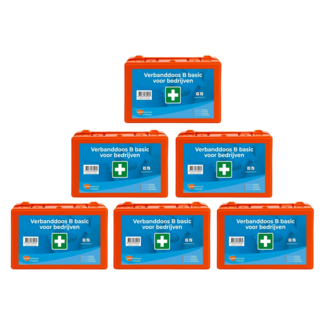 ARBO centrum 6-pack Verbanddoos B bedrijven