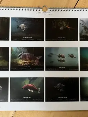 Metalimnion Carp calendar