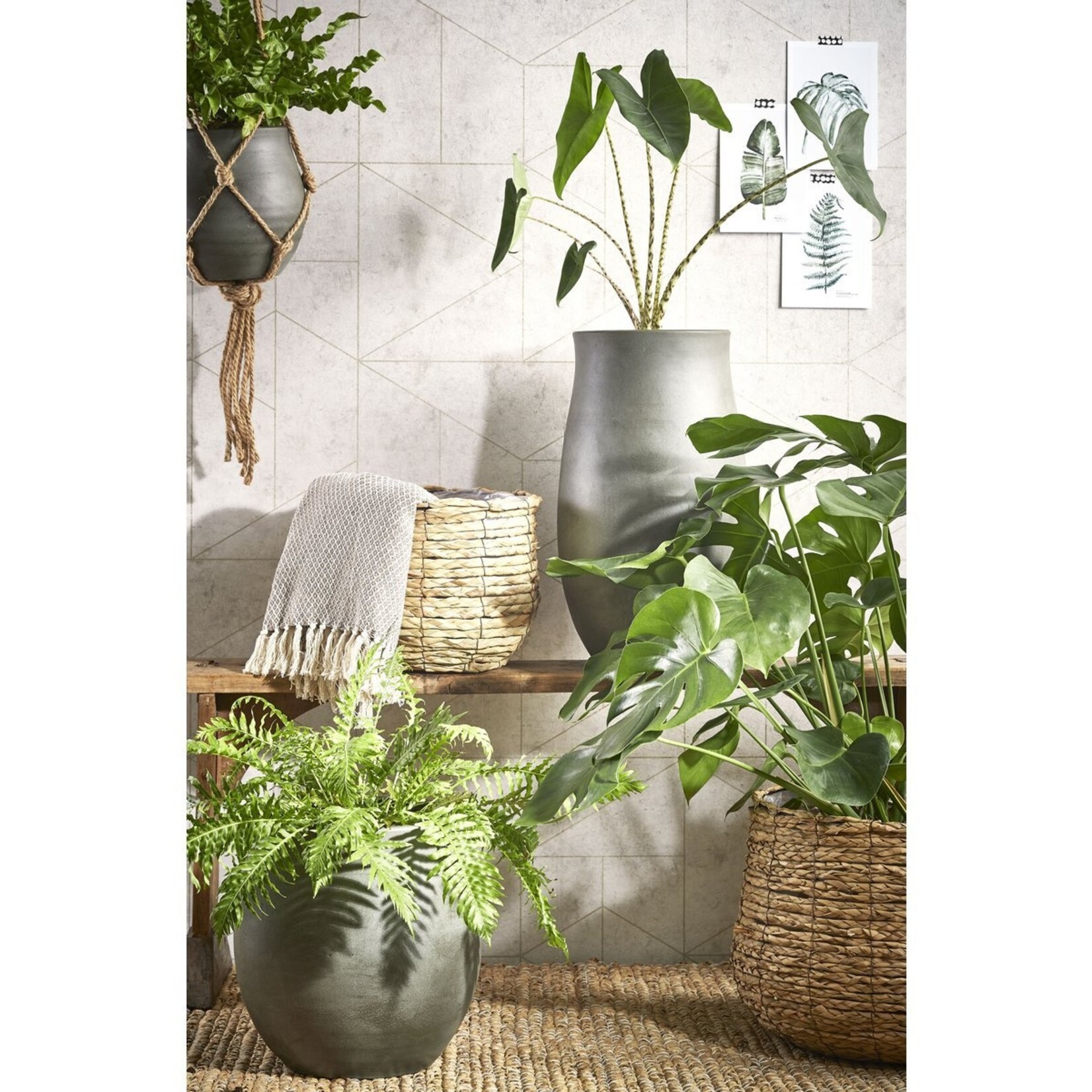 Mica Decorations Avalon Plantenmand - Set van 3 - H32 x Ø44 cm - Zeegras - Lichtbruin