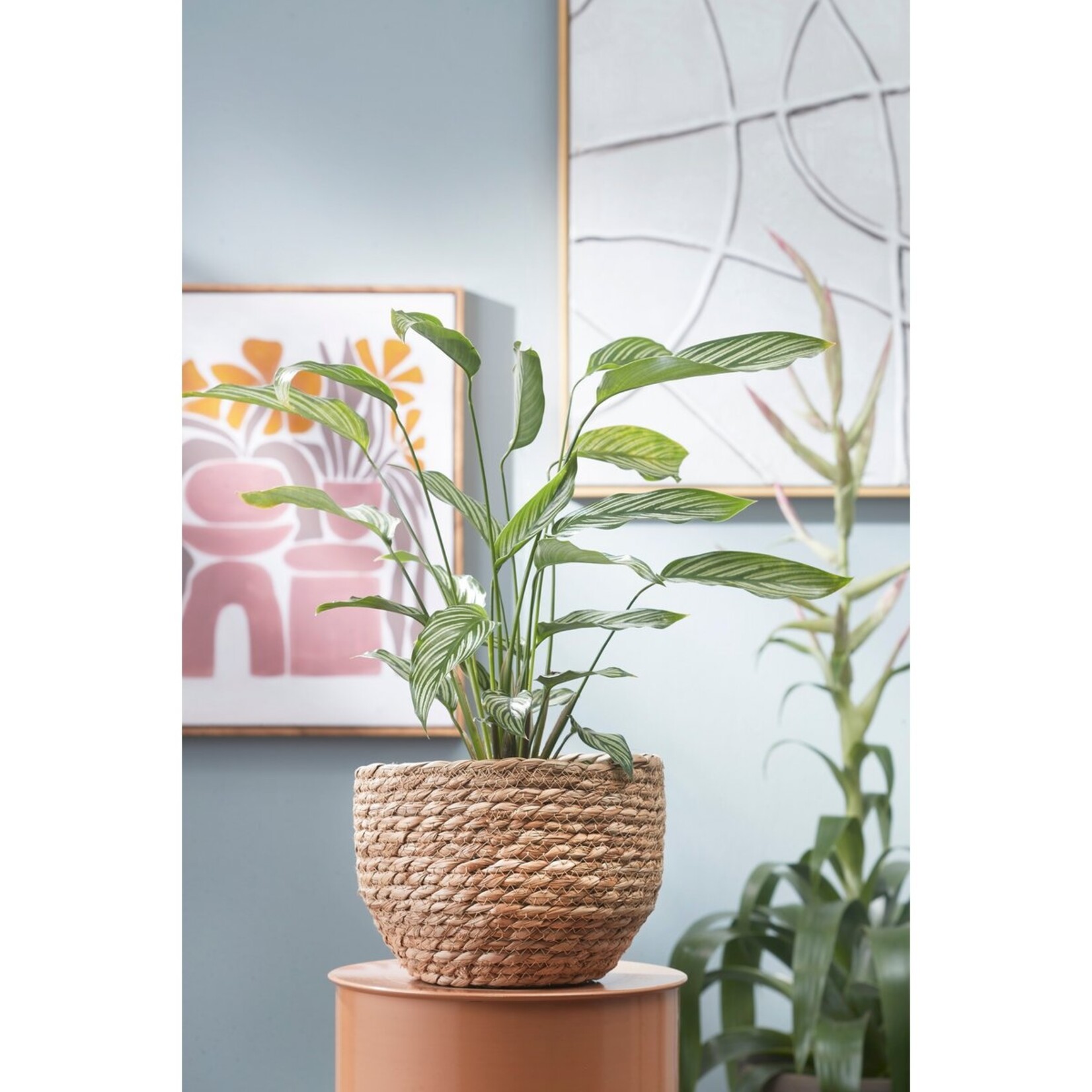 Mica Decorations Jorck Plantenmand - Set van 3 - H24 x Ø26 cm - Zeegras - Lichtbruin