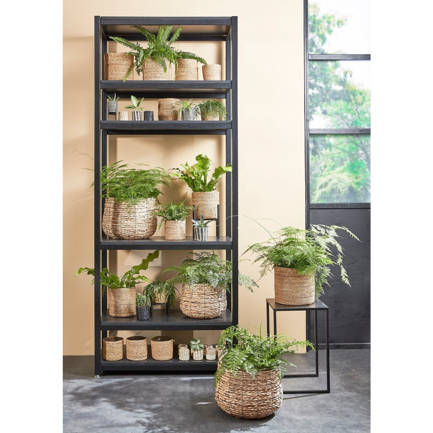 Mica Decorations Avalon Plantenmand - Set van 3 - H32 x Ø44 cm - Zeegras - Lichtbruin