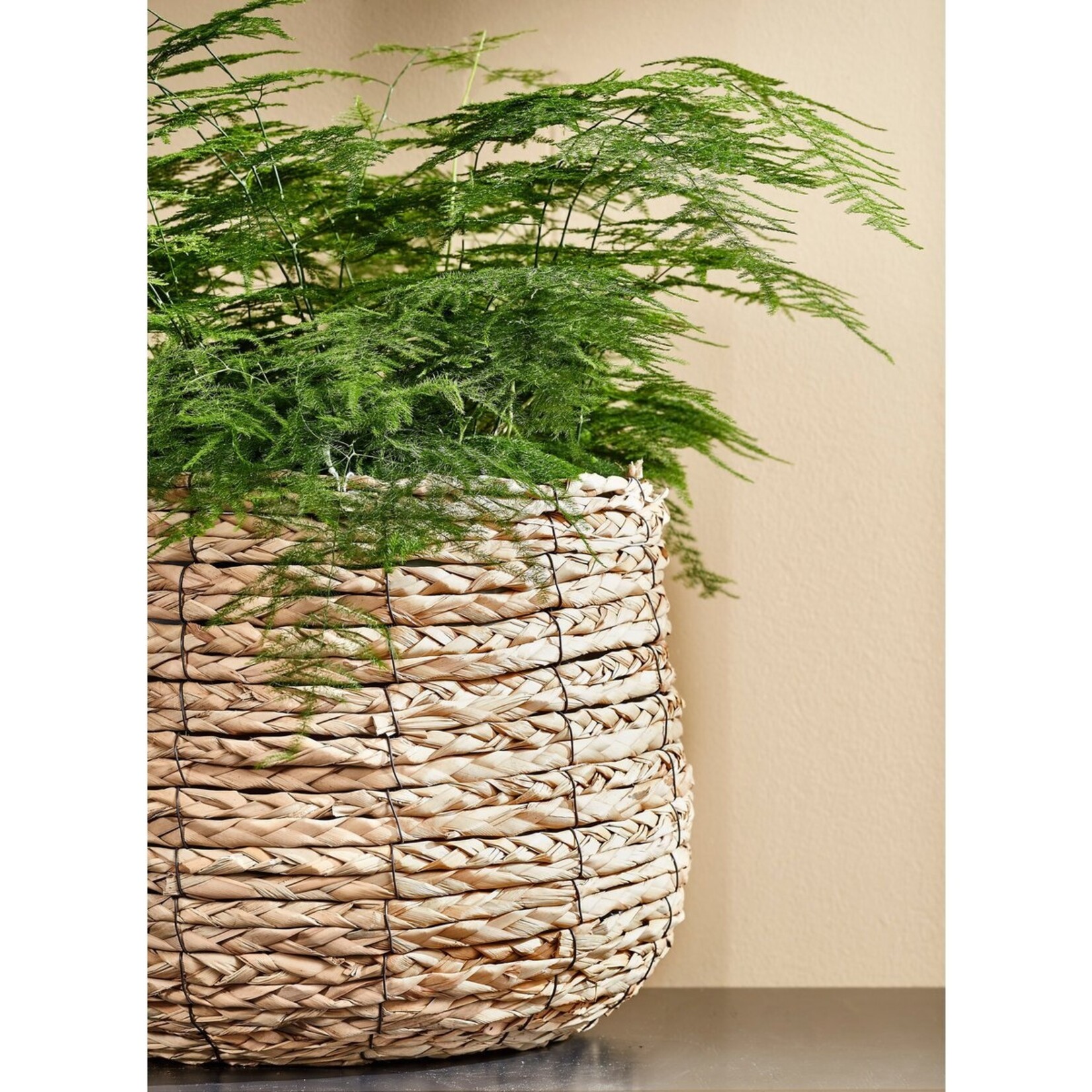Mica Decorations Avalon Plantenmand - Set van 3 - H32 x Ø44 cm - Zeegras - Lichtbruin