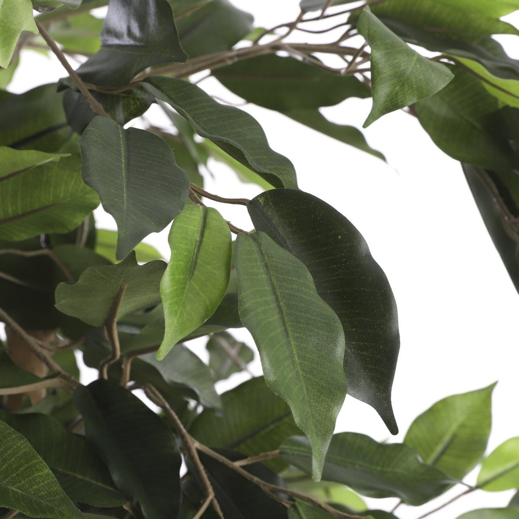 Mica Decorations Ficus Kunstplant - H150 x Ø85 cm - Groen