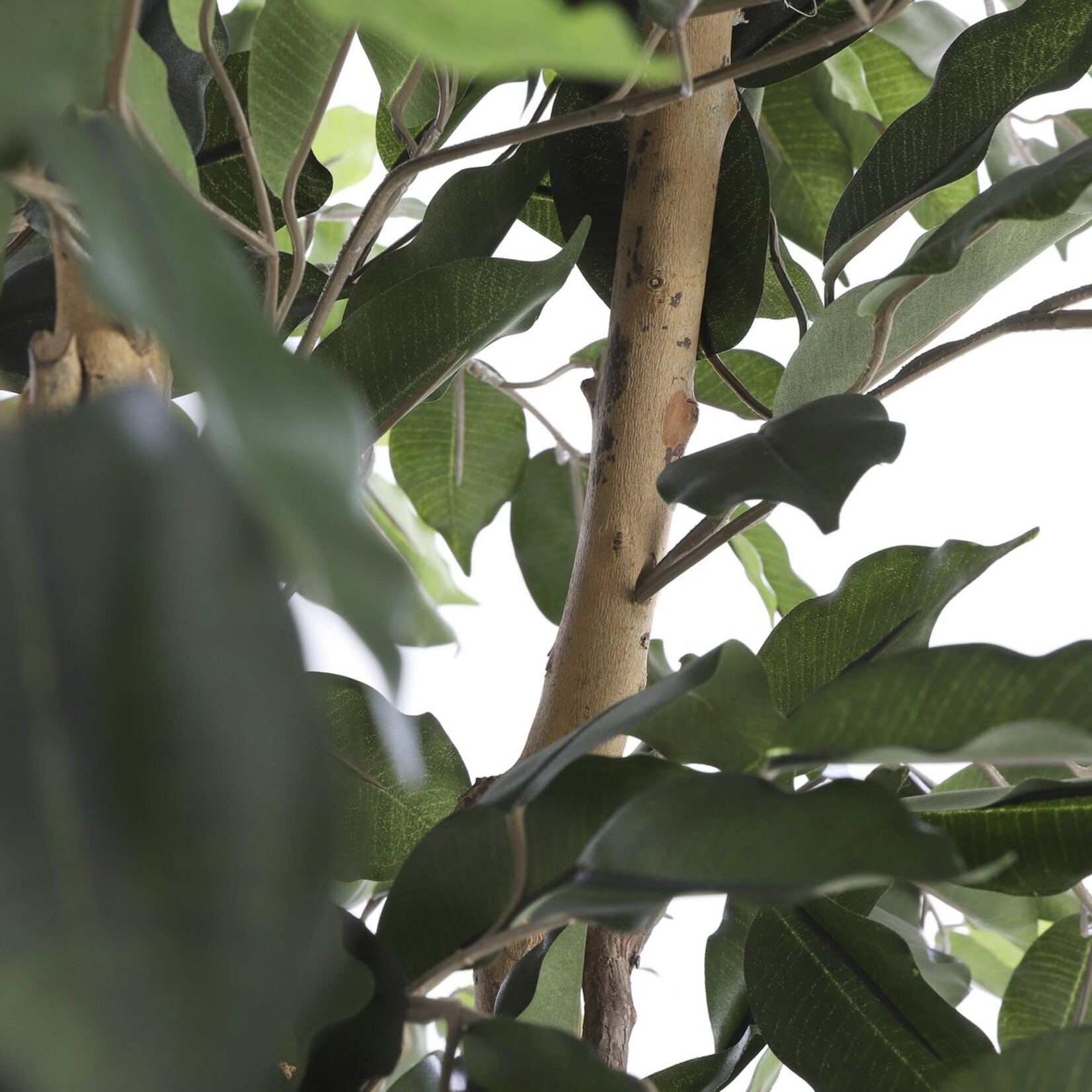 Mica Decorations Ficus Kunstplant - H150 x Ø85 cm - Groen