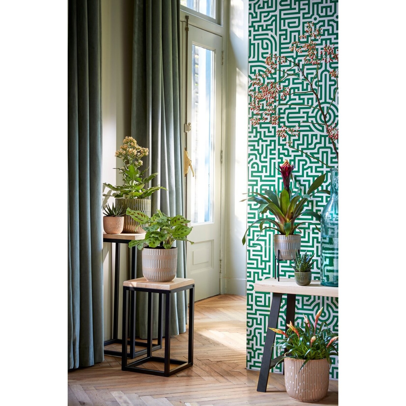 Mica Decorations Oskar Plantentafel - L35 x B35 x H81 cm - Hout, Metaal - Zwart