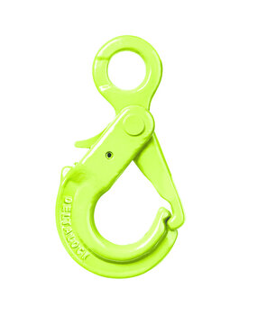 DELTA G100 veiligheidsooghaak 6.7 ton