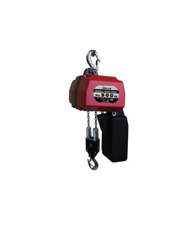 DELTA Delta Batterij takel 500kg DELTA Delta Batterij takel 500kg