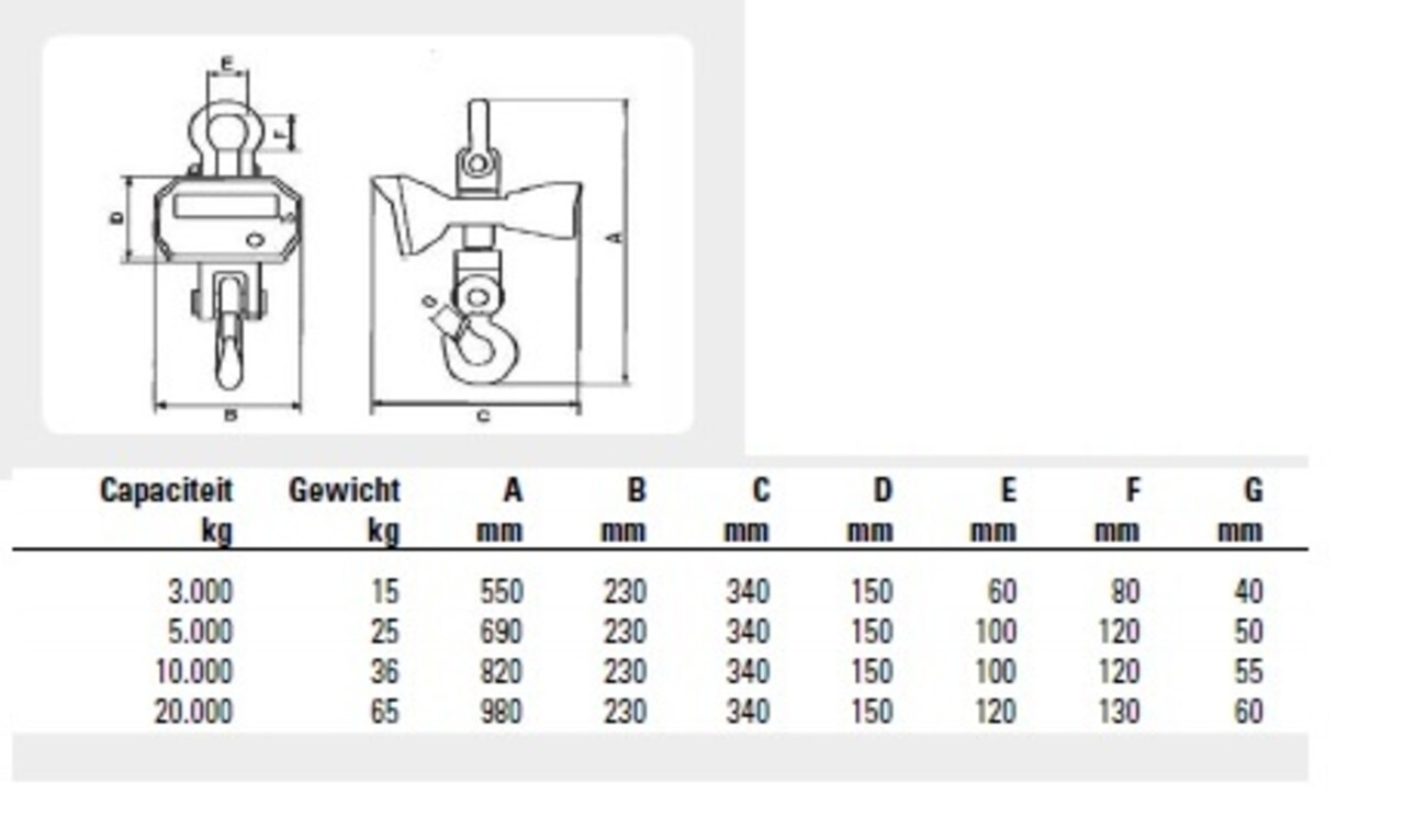 Liftikus Liftikus weeghaak 20 ton