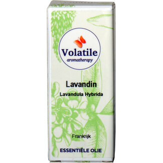 Volatile  Ätherisches  Öl Lavandin