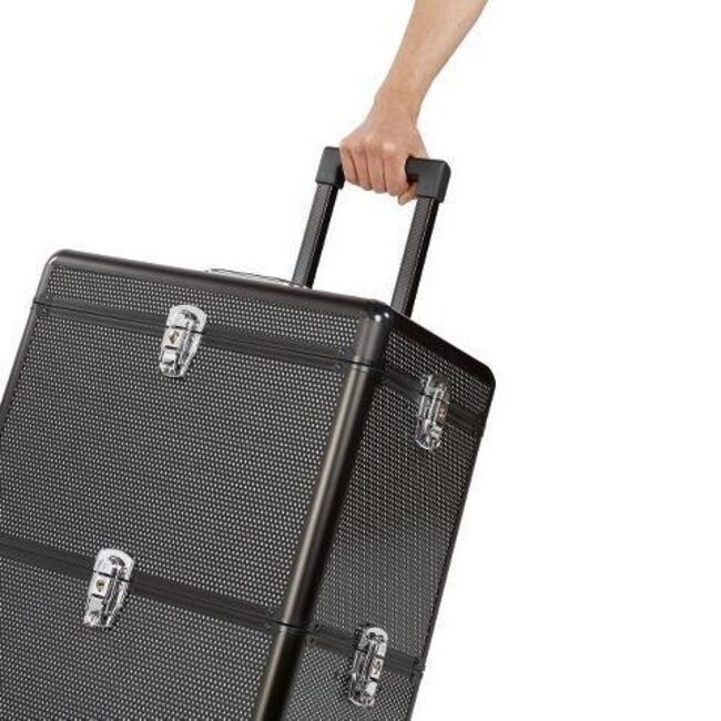 Strass XL Alukoffer mit 2 Ablageebenen-sibel