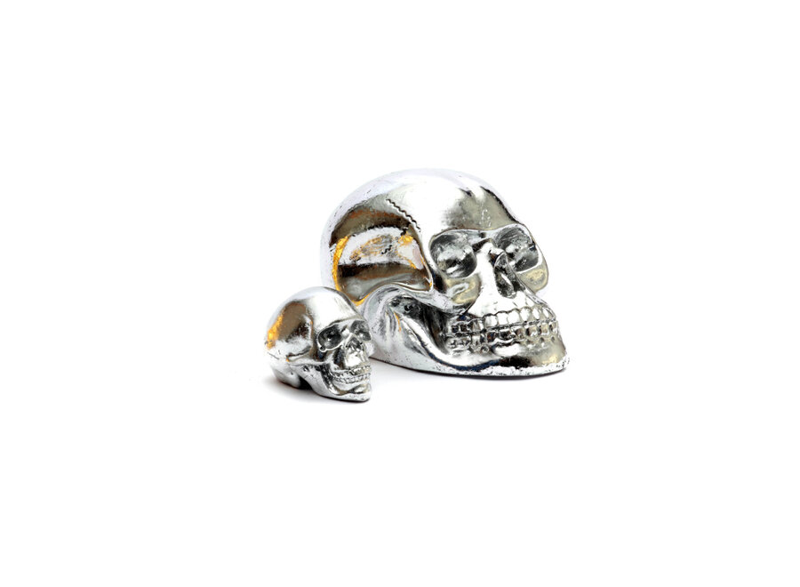 The Resin Skull Head - Silver - L