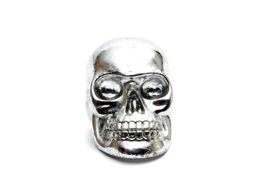 The Resin Skull Head - Silver - L