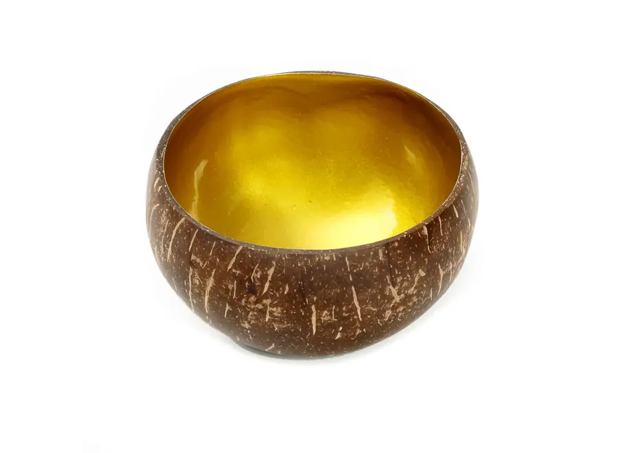 The Coco Food Bowl - Natural Gold