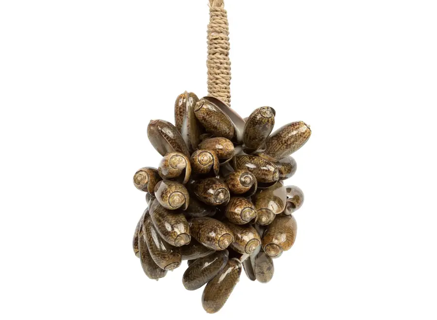 The Brown Cowrie Shell Tassel