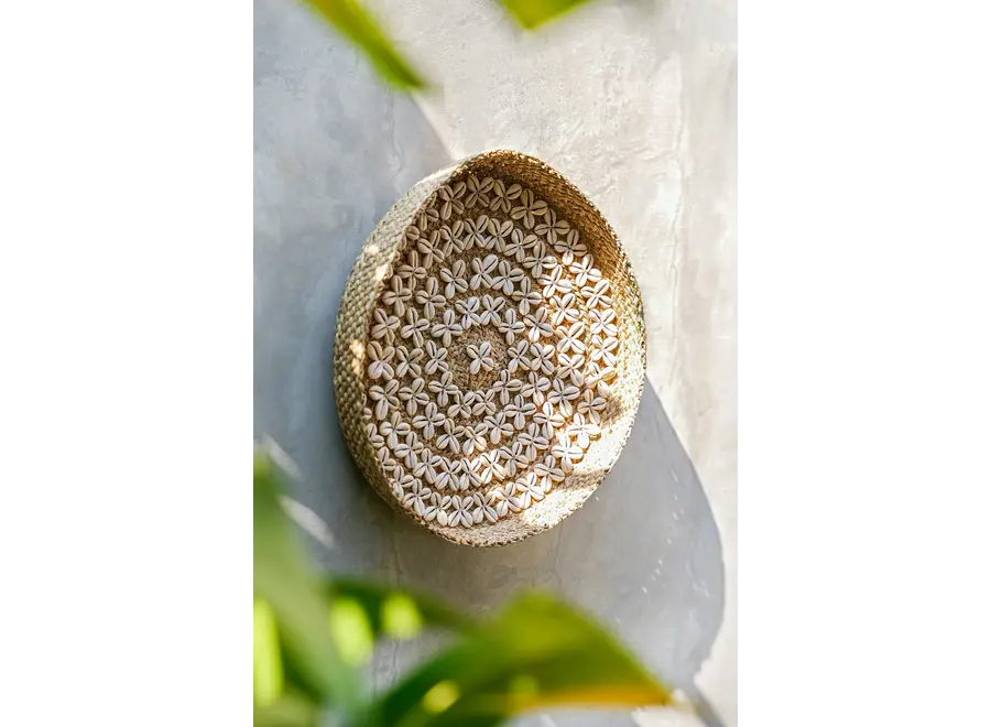 The Costa Shell Plate - Natural White - M
