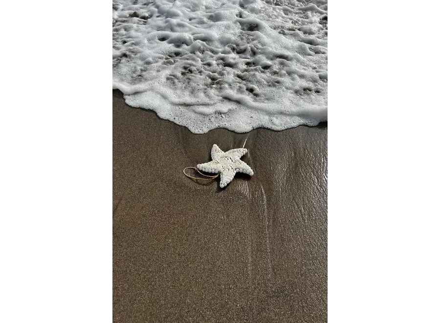 The Star Shell - White - L