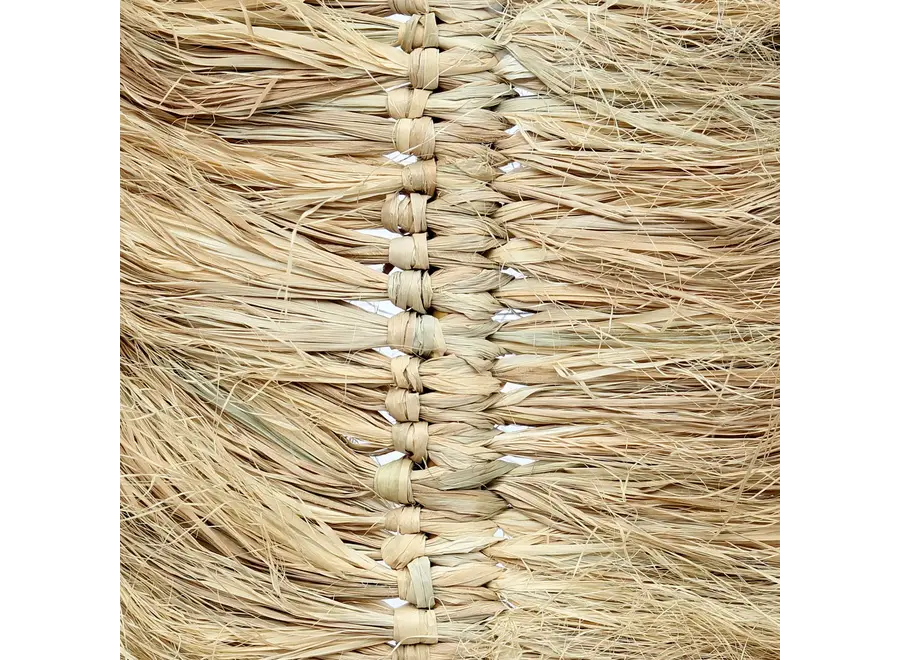 Die Raffia Palmeira - Natur