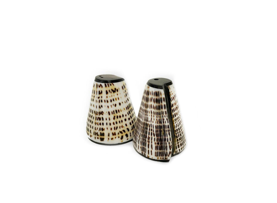 Die Salt & Peppa Shell - 2er-Set