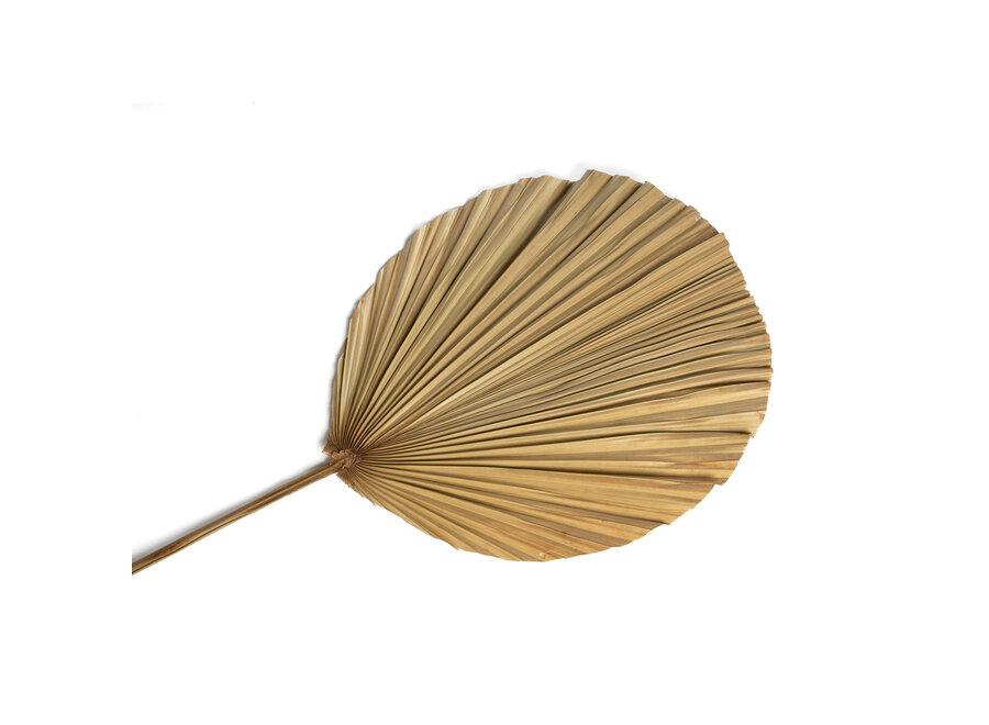 La Feuille Rayung - Naturelle