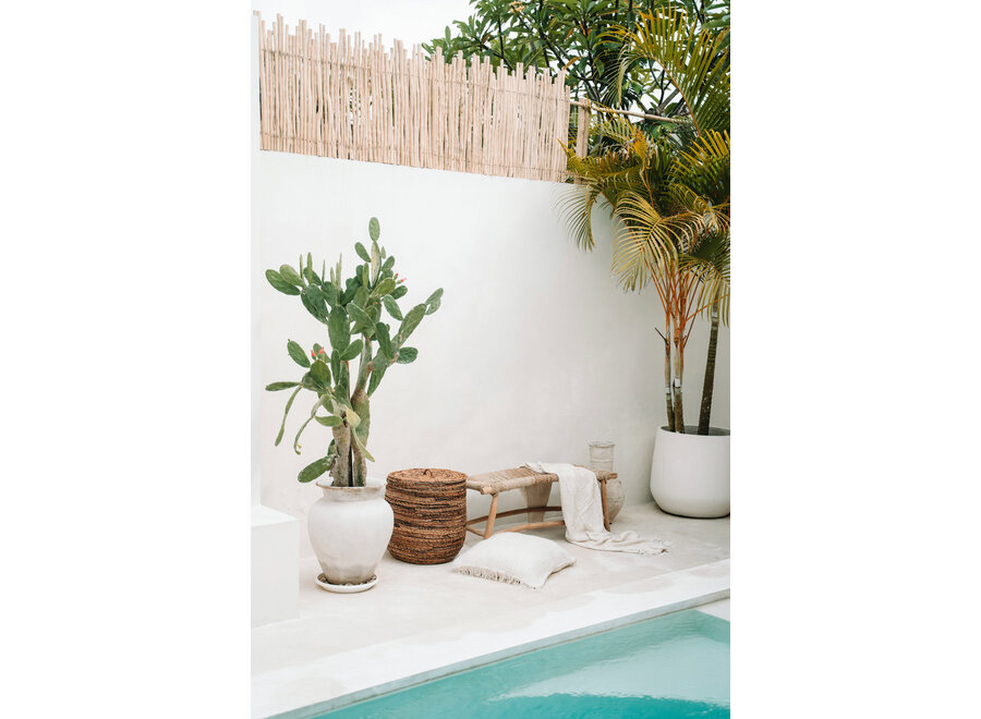 De Porto Seagrass Bank - L