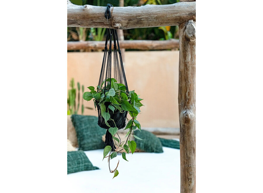 The Macrame Plant Holder - Black - S