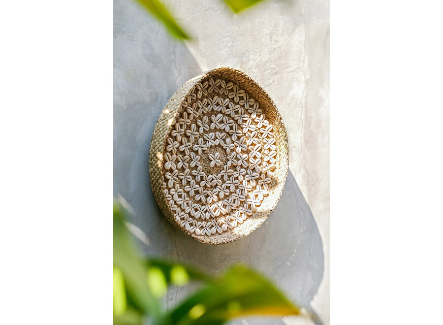 Het Costa Shell Bord - Natuurwit - M