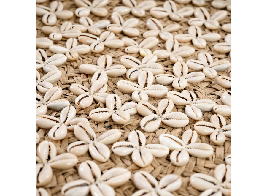 L’Assiette Costa Shell - Blanc Naturel - M