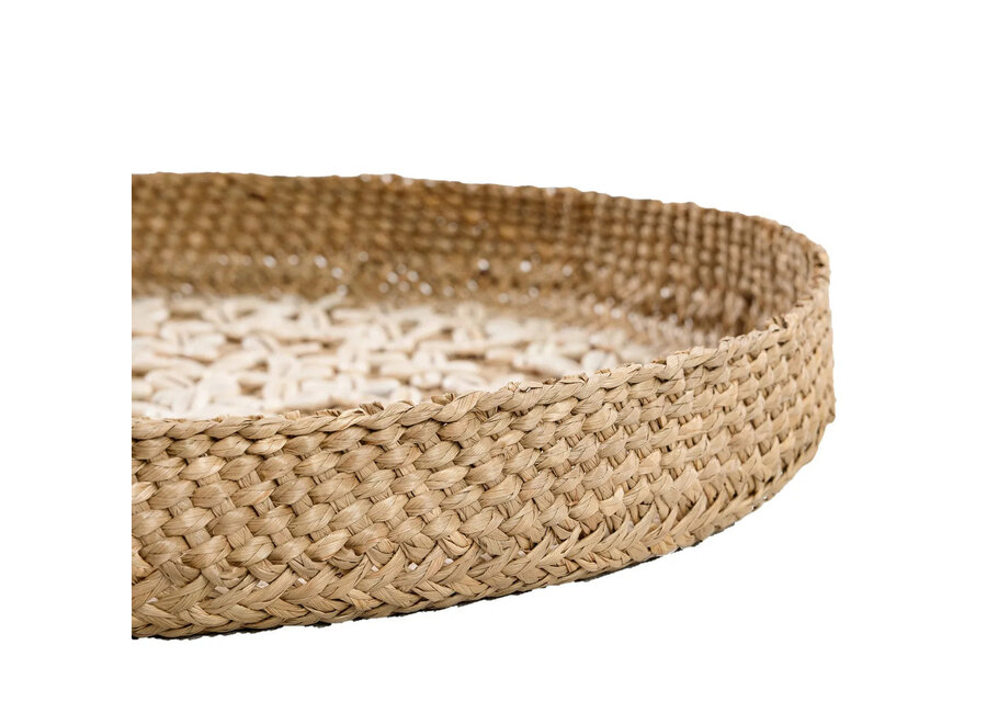 The Costa Shell Plate - Natural White - M