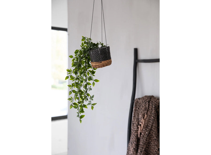 Le Porte-Plante Banana - Noir Naturel