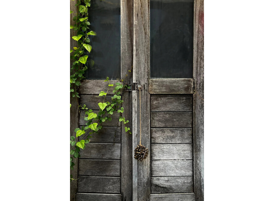 Le Pompon En Coquillage Cauri Marron