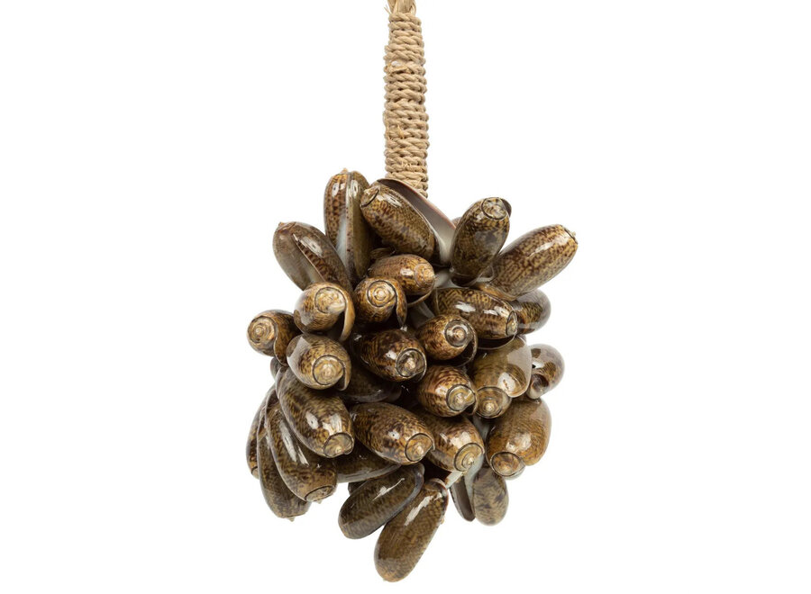 The Brown Cowrie Shell Tassel