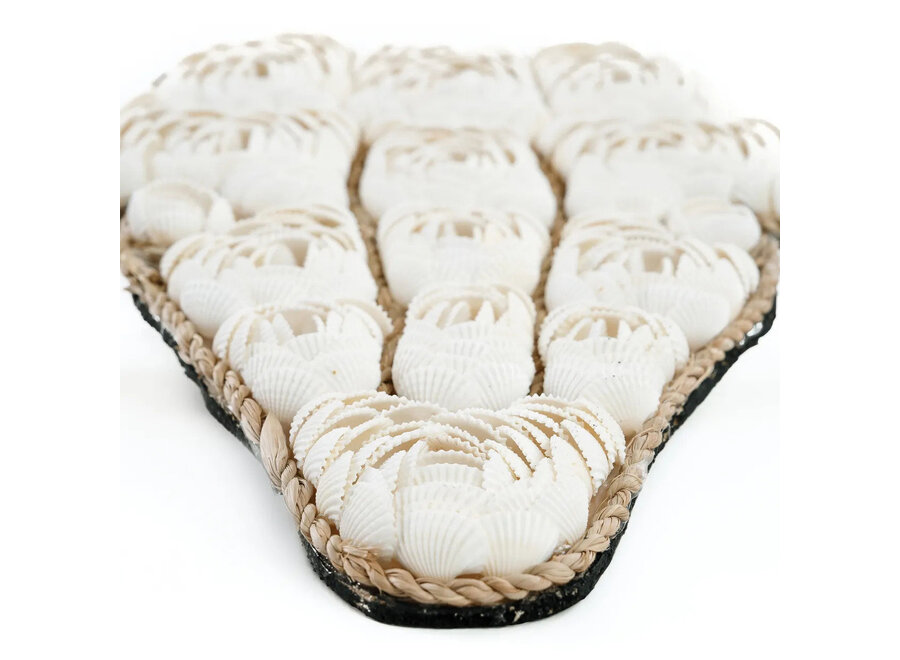 La Coquille de Taureau - Blanc