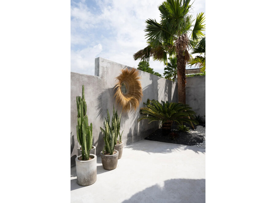 Der Sunken Forest Spiegel - Natur