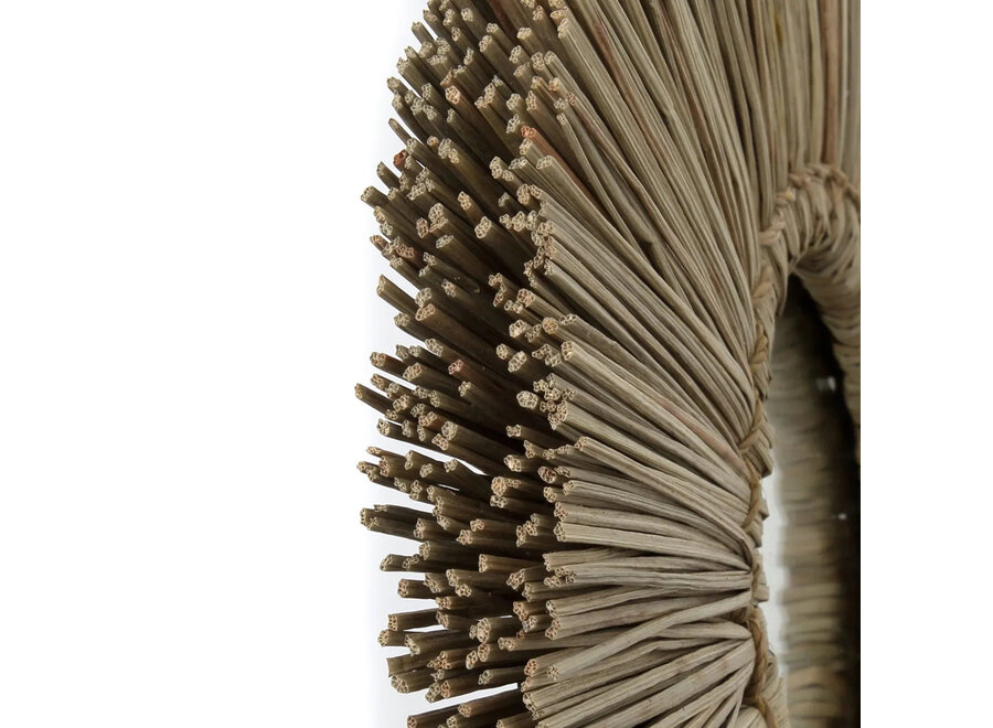 Der Alang Alang Spiegel - Natur - M