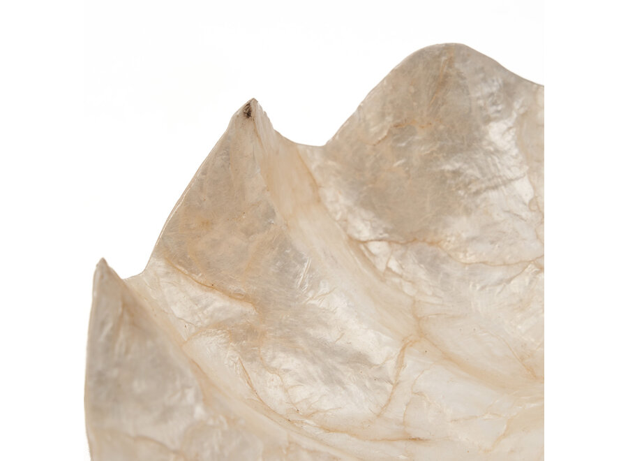 The Mother of Pearl Soap Dish - White - S